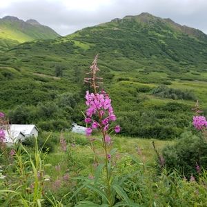 Meet your Posher, Bri